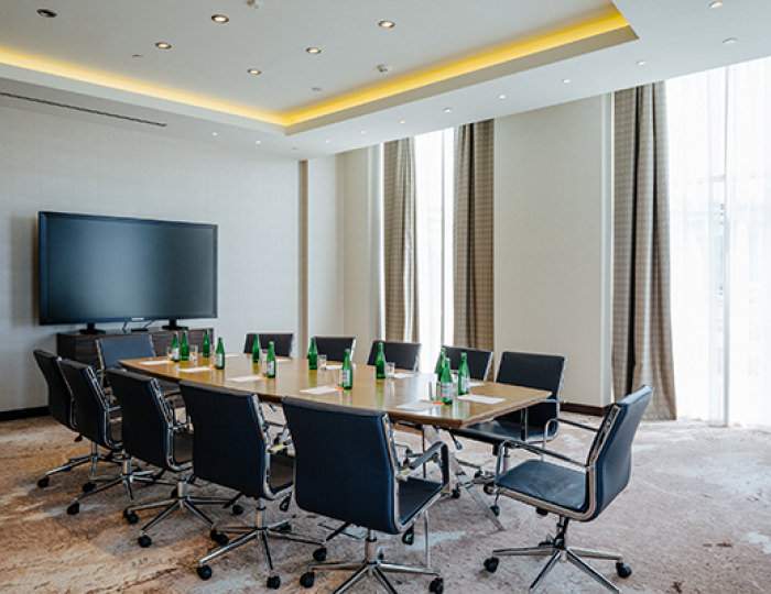 Конференц-залы - Отель Alpha Sirius / Альфа Сириус (бывш. Имеретинский)