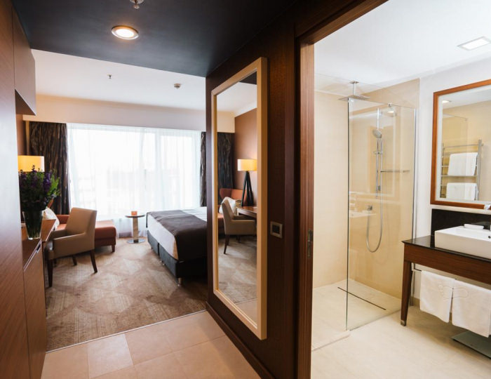 Стандарт 2-местный DBL - Отель Alpha Sirius / Альфа Сириус (бывш. Имеретинский)