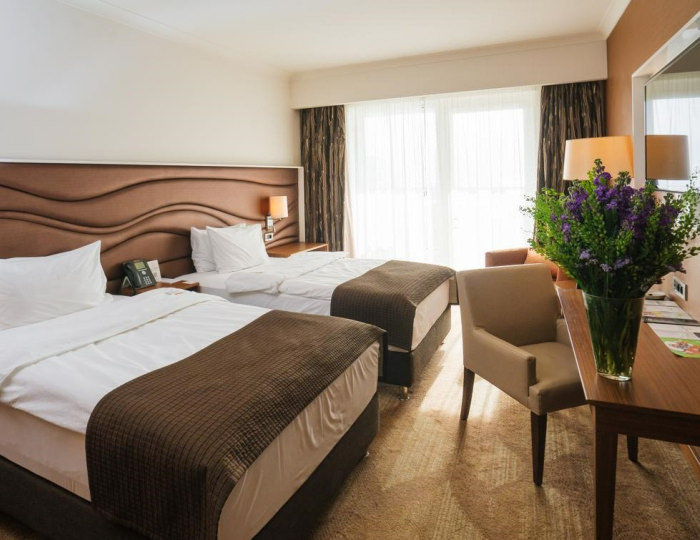 Стандарт 2-местный DBL\TWIN кровать трансормер - Отель Alpha Sirius / Альфа Сириус (бывш. Имеретинский)